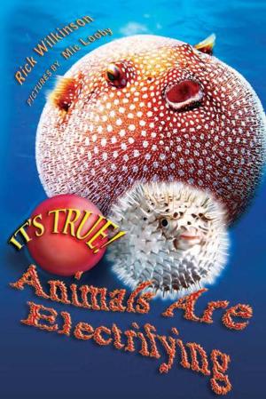 Cover of the book It's True! Animals are electrifying (11) by Lisa Lang