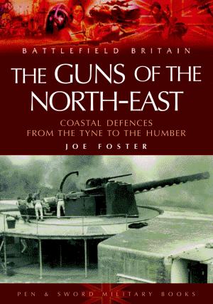 Cover of the book Guns of the Northeast by Martin W Bowman
