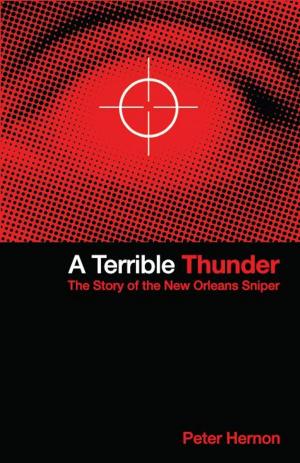 Cover of the book A Terrible Thunder by A No. 1