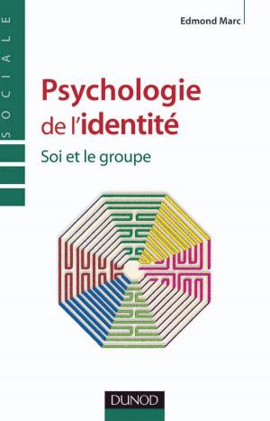 Cover of the book Psychologie de l'identité by Assaël Adary, Benoît Volatier, Céline Mas