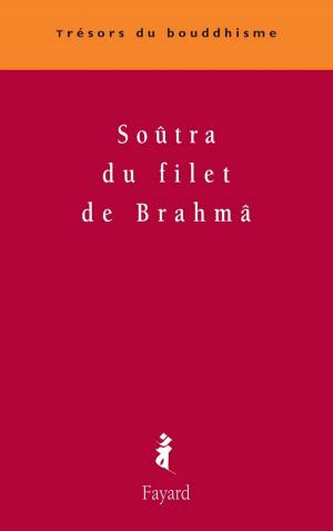 Cover of the book Soûtra du filet de Brahmâ by Mireille Delmas-Marty, Pierre-Etienne WILL