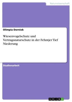 Cover of the book Wiesenvogelschutz und Vertragsnaturschutz in der Fehntjer Tief Niederung by Marc Schriever
