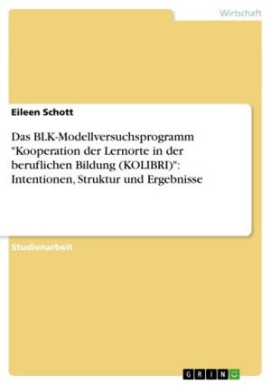 Cover of the book Das BLK-Modellversuchsprogramm 'Kooperation der Lernorte in der beruflichen Bildung (KOLIBRI)': Intentionen, Struktur und Ergebnisse by Annemarie Binkowski