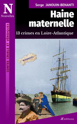 Book cover of Haine maternelle