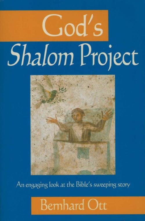 Cover of the book God's Shalom Project by Bernhard Ott, Good Books