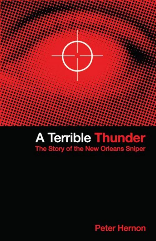 Cover of the book A Terrible Thunder by Peter Hernon, Garrett County Press