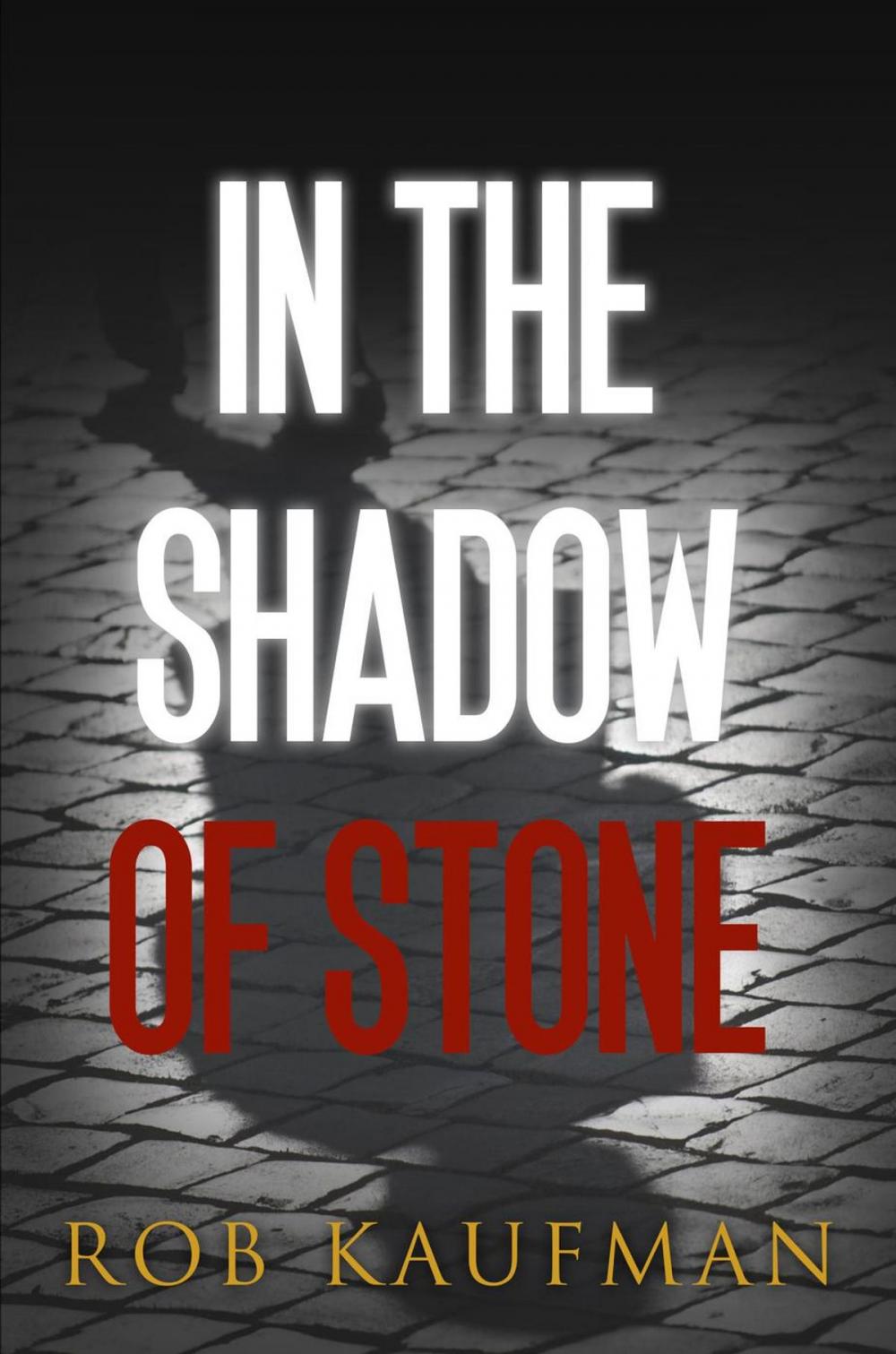 Big bigCover of In the Shadow of Stone