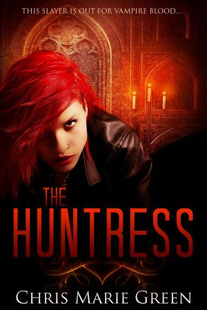 bigCover of the book The Huntress by 