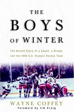 Cover of the book The Boys of Winter by Jayne Mead