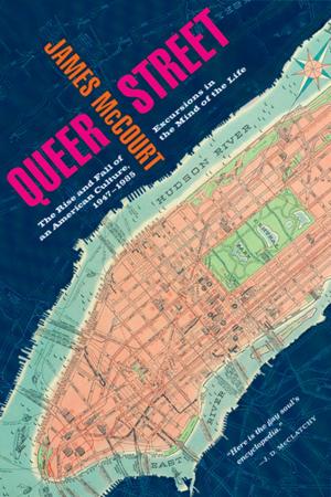 Cover of the book Queer Street: Rise and Fall of an American Culture, 1947-1985 by Irvine Welsh, Dean Cavanagh