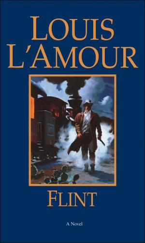 Cover of the book Flint by Laton McCartney