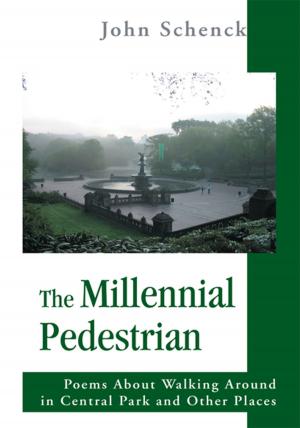 Cover of the book The Millennial Pedestrian by Matthew Braga