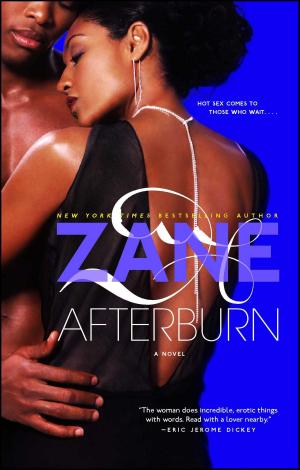 Cover of the book Afterburn by Jess Kidd