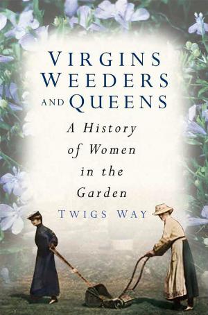 Cover of the book Virgins, Weeders and Queens by Mike Morgan, Major General David Lloyd Owen
