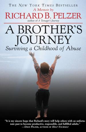 Cover of the book A Brother's Journey by Noah Feldman