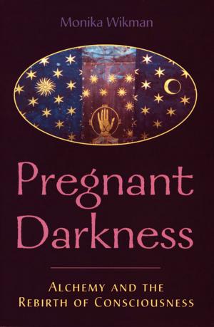 Cover of the book Pregnant Darkness by Laurence Brahm