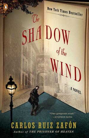 bigCover of the book The Shadow of the Wind by 