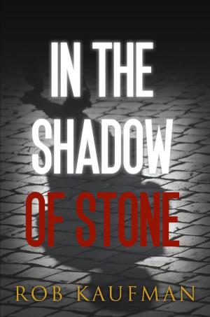 Cover of the book In the Shadow of Stone by Michael Bronte
