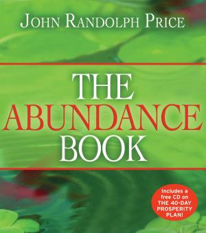 Book cover of The Abundance Book