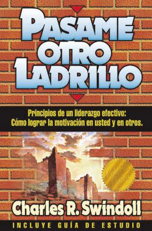 Cover of the book Pásame otro ladrillo by Mario Escobar