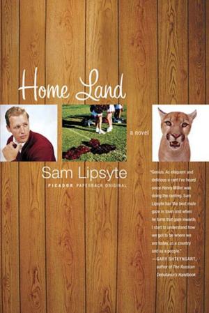 Cover of the book Home Land by Simon Callow