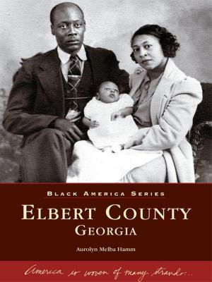 Cover of the book Elbert County, Georgia by ERNESTO VILLANUEVA, HILDA NUCCI