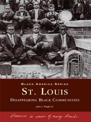 Cover of the book St. Louis by Brod Bagert