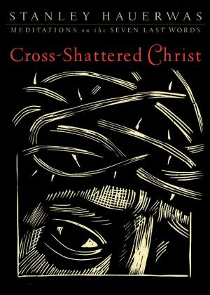 Book cover of Cross-Shattered Christ