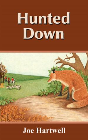 Cover of the book Hunted Down by Pamela Rivron