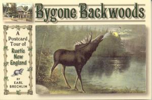 Cover of the book Bygone Backwoods by Kerry Hardy