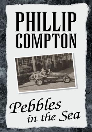 Cover of the book Pebbles in the Sea by Linda Gee