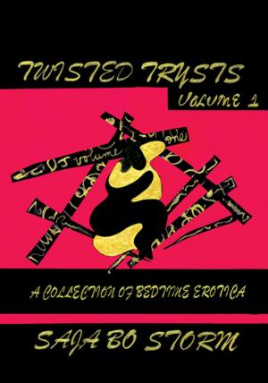 Cover of the book Twisted Trysts by C. Truett Baker
