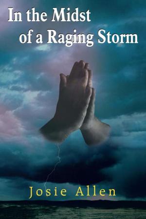 bigCover of the book In the Midst of a Raging Storm by 