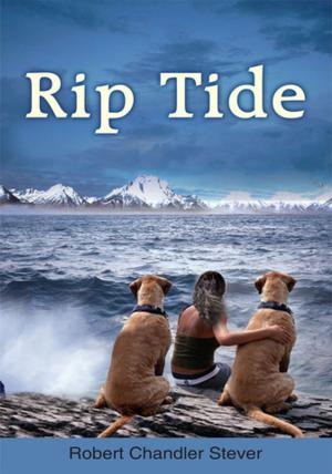 Cover of the book Rip Tide by Dr. Prashobh Karunakaran