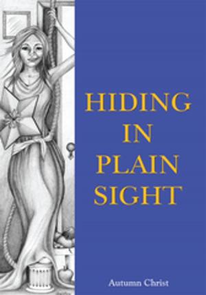 Cover of the book Hiding in Plain Sight by Duncan L. Dieterly