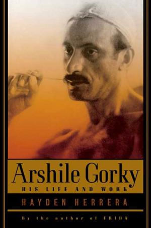 Book cover of Arshile Gorky