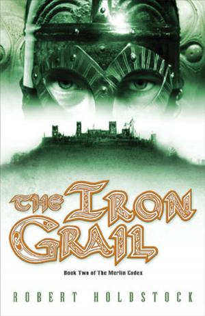 Cover of the book The Iron Grail by Ethlie Ann Vare, Daniel Morris
