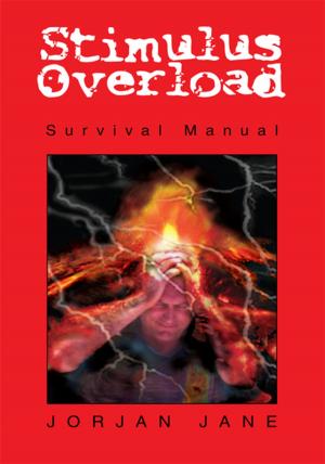 Cover of the book Stimulus Overload by Martin K. Mwangi