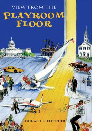 Book cover of View from the Playroom Floor