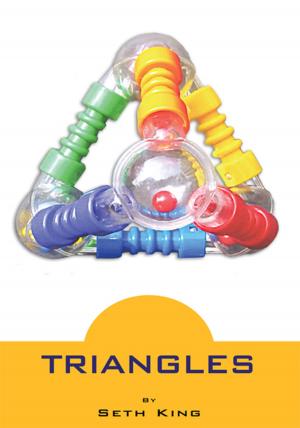 Cover of the book Triangles by Charles E. Taylor