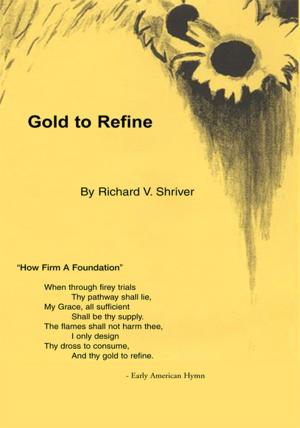 Cover of the book Gold to Refine by Seb Shawver