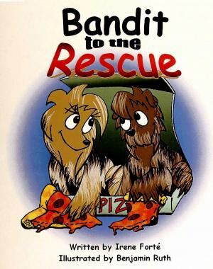 Cover of the book Bandit to the Rescue by Harry White