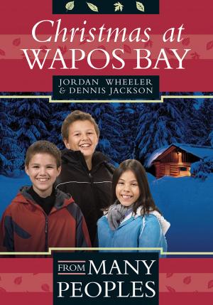 Book cover of Christmas at Wapos Bay