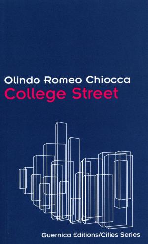 Cover of the book College Street by J. Elke Ertle