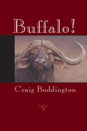 Cover of the book Buffalo! by Channing Beebe