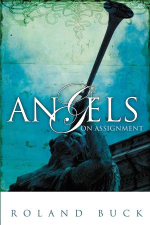 Cover of the book Angels on Assignment by Larry Huch, Tiz Huch