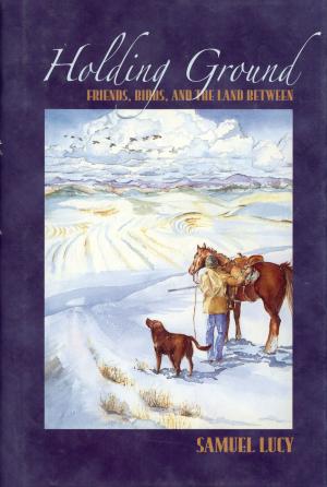 Cover of the book Holding Ground by Jörg Kastner