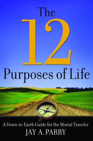 Book cover of The 12 Purposes of Life