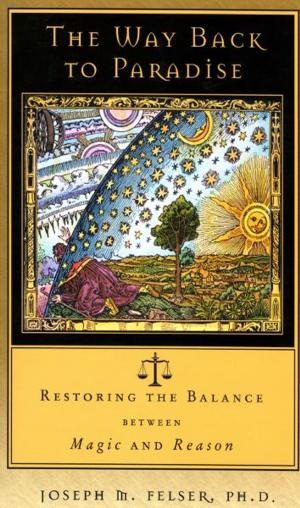 Cover of the book The Way Back to Paradise: Restoring the Balance between Magic and Reason by Steven Sora