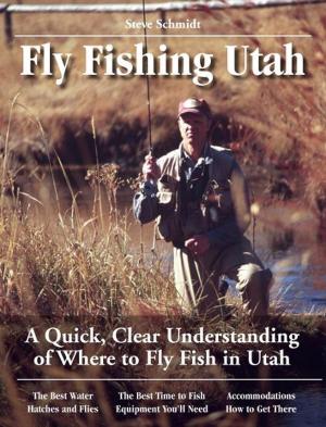 Cover of the book Fly Fishing Utah by Harry Teel